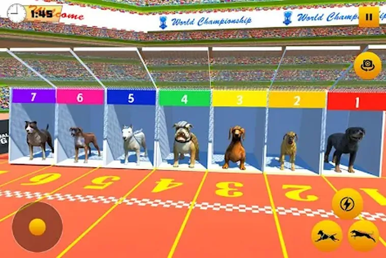 Cách Chơi Game Nhanh Đua Chó Tại AE888 Thắng Lớn Hàng Ngày